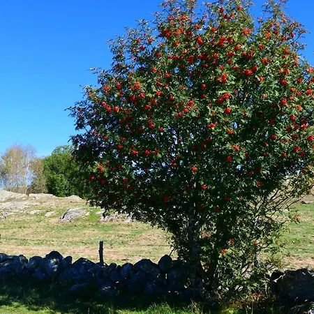 Des Rochers Otel